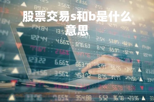 股票交易s和b是什么意思「股票的s和b是什么意思」