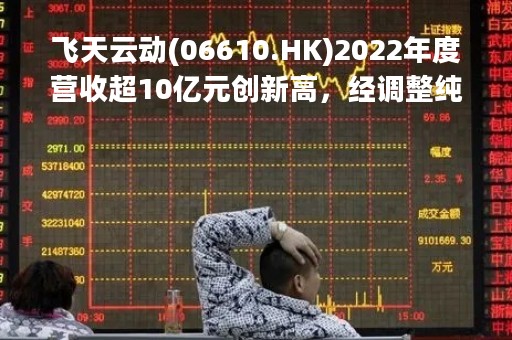 飞天云动(06610.HK)2022年度营收超10亿元创新高，经调整纯利达2.58亿元