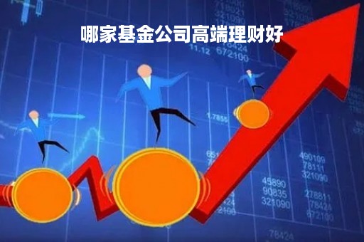 哪家基金公司高端理财好「哪家基金公司高端理财好一点」