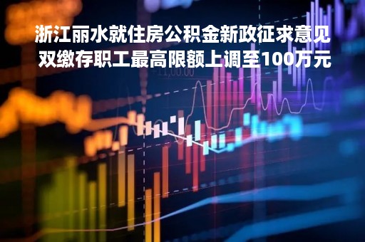 浙江丽水就住房公积金新政征求意见 双缴存职工最高限额上调至100万元