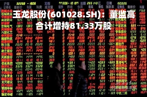 玉龙股份(601028.SH)：董监高合计增持81.33万股