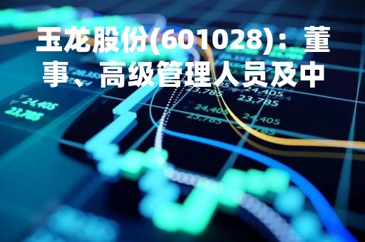 玉龙股份(601028)：董事、高级管理人员及中层管理人员增持股份计划的进展公告