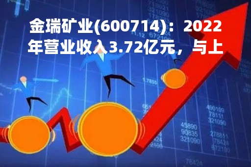 金瑞矿业(600714)：2022年营业收入3.72亿元，与上期同比增加2.93%