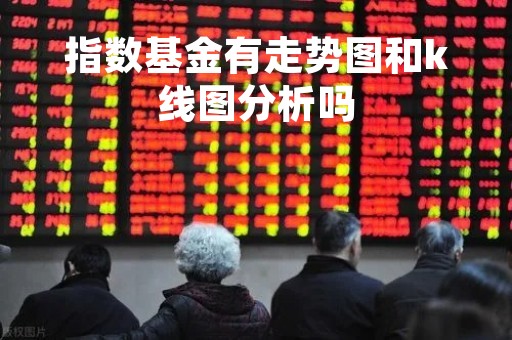 指数基金有走势图和k线图分析吗「指数基金能跌没吗」
