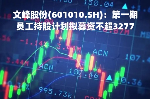 文峰股份(601010.SH)：第一期员工持股计划拟募资不超3277.51万元