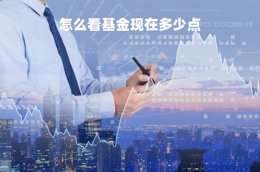 怎么看基金现在多少点「怎么看基金是多少点买入的」