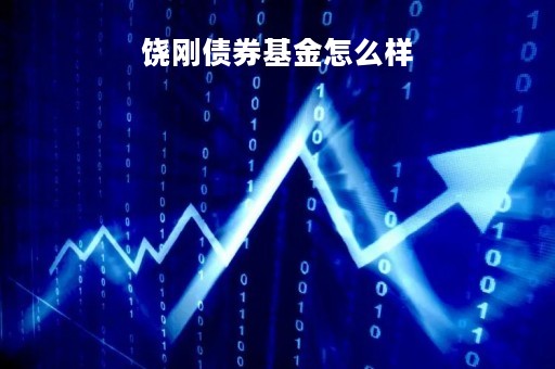 饶刚债券基金怎么样「饶饶鹏基金」