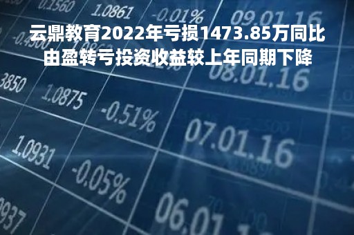 云鼎教育2022年亏损1473.85万同比由盈转亏投资收益较上年同期下降