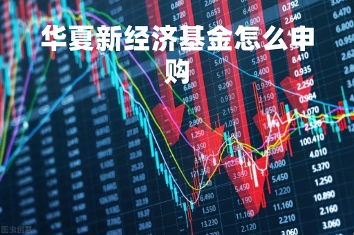 华夏新经济基金怎么申购「华夏新兴经济基金」