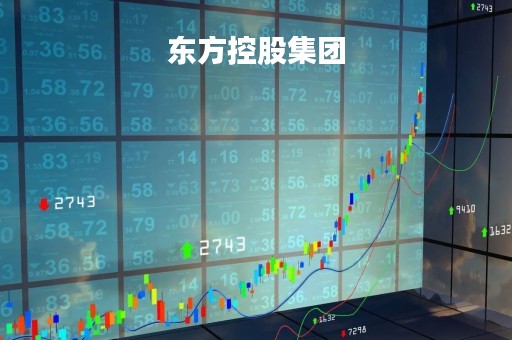 东方控股集团「东方控股集团2011年工作会议」