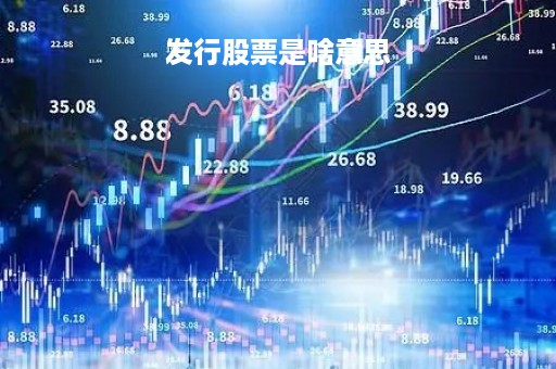 发行股票是啥意思「发行股票是什么意思大白话」