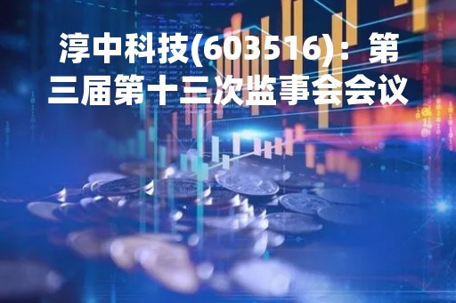 淳中科技(603516)：第三届第十三次监事会会议决议，审议关于公司2022年年度报告及其摘要的议案等议案