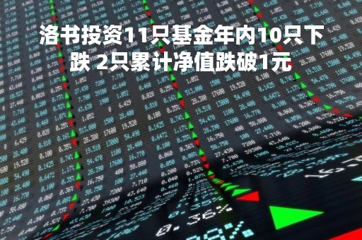 洛书投资11只基金年内10只下跌 2只累计净值跌破1元