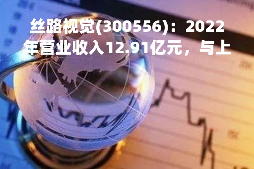 丝路视觉(300556)：2022年营业收入12.91亿元，与上期同比减少7.04%