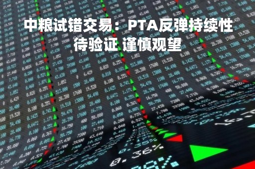 中粮试错交易：PTA反弹持续性待验证 谨慎观望