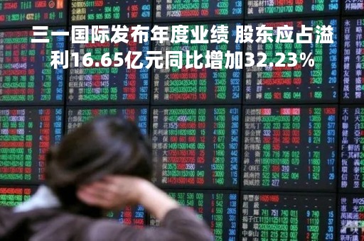 三一国际发布年度业绩 股东应占溢利16.65亿元同比增加32.23%