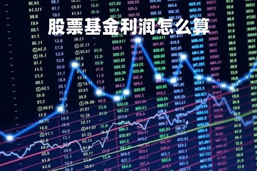 股票基金利润怎么算「股票基金利润怎么算的」