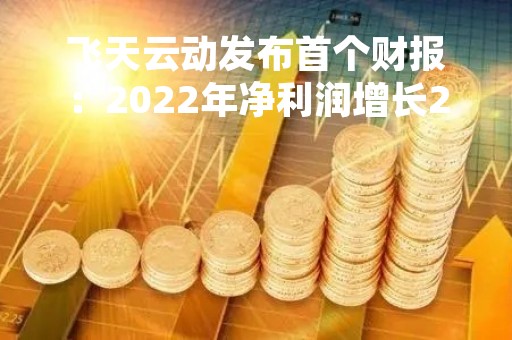 飞天云动发布首个财报：2022年净利润增长237.24% 元宇宙平台处于内测阶段