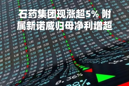 石药集团现涨超5% 附属新诺威归母净利增超8成