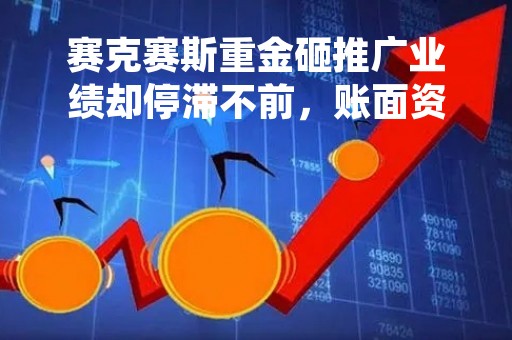 赛克赛斯重金砸推广业绩却停滞不前，账面资金充足募资必要性存疑
