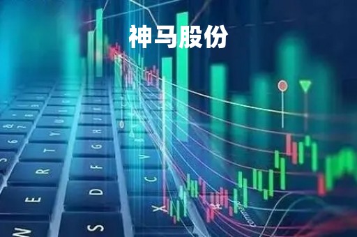 神马股份「神马股份公司简介」