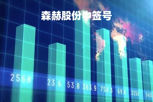 森赫股份中签号「森赫股份中签号码查询」