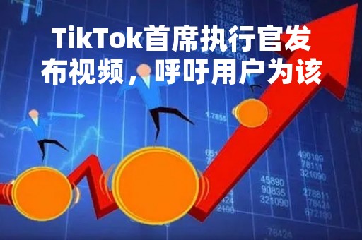TikTok首席执行官发布视频，呼吁用户为该应用程序发声