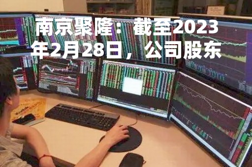 南京聚隆：截至2023年2月28日，公司股东总户数11538户