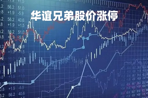 华谊兄弟股价涨停「华谊兄弟股价涨停原因」