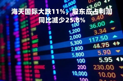 海天国际大跌11%，股东应占利润同比减少25.8%