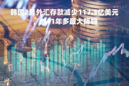 韩国2月外汇存款减少117.3亿美元，创11年多最大降幅