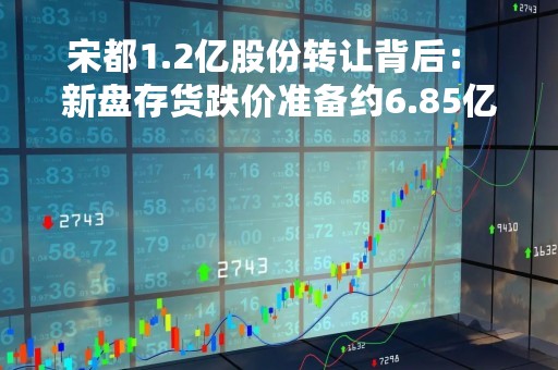宋都1.2亿股份转让背后： 新盘存货跌价准备约6.85亿元