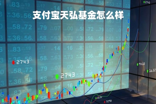 支付宝天弘基金怎么样「支付宝天弘基金是啥」