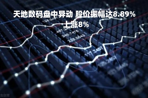天地数码盘中异动 股价振幅达8.89%  上涨8%