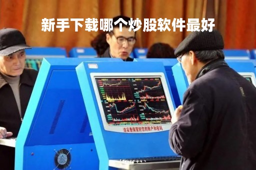 新手下载哪个炒股软件最好「新手炒股票下载哪个软件最好」