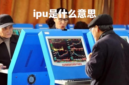 ipu是什么意思「企业ipu是什么意思」