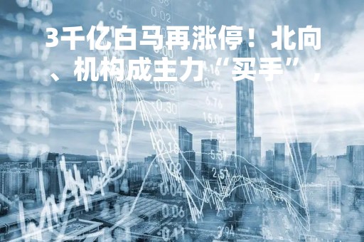 3千亿白马再涨停！北向、机构成主力“买手”，算力风口持续发酵，半导体或迎双重催化