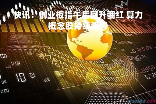 快讯：创业板指午后回升翻红 算力概念股持续强势