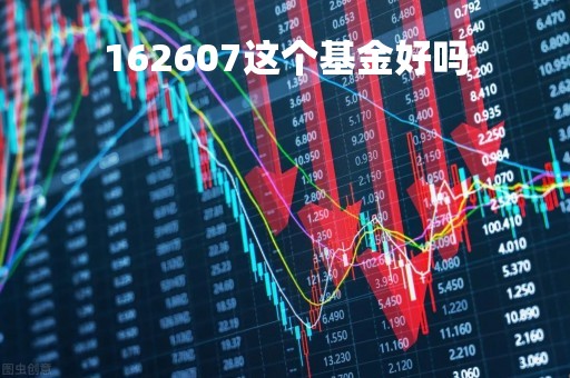 162607这个基金好吗「我想看162607的基金净值是多少」