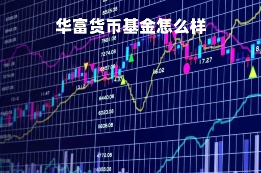 华富货币基金怎么样「华富基金成立时间」
