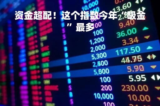 资金超配！这个指数今年“吸金”最多