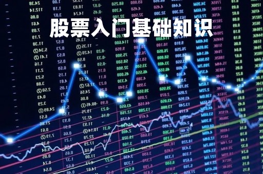 股票入门基础知识「股票入门基础知识视频」