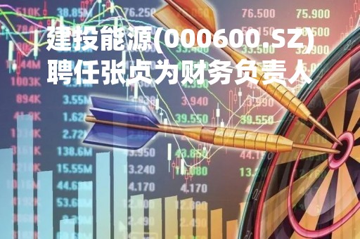 建投能源(000600.SZ)聘任张贞为财务负责人