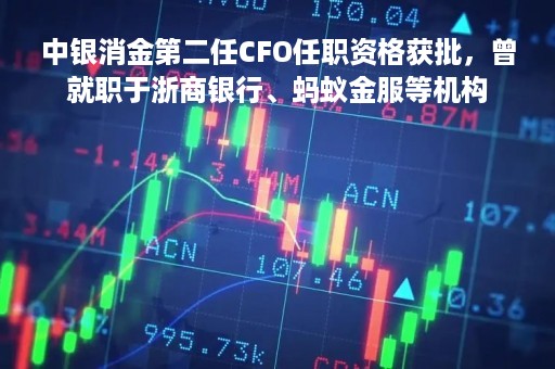 中银消金第二任CFO任职资格获批，曾就职于浙商银行、蚂蚁金服等机构