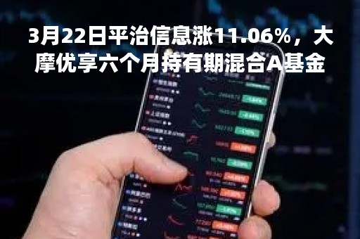 3月22日平治信息涨11.06%，大摩优享六个月持有期混合A基金重仓该股