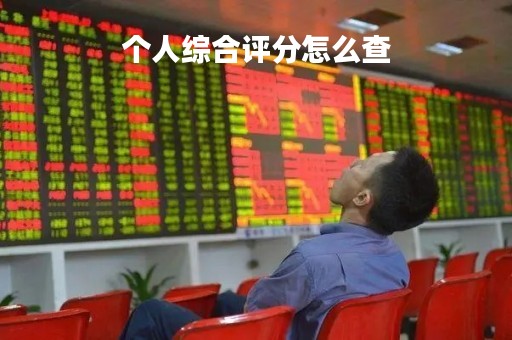 个人综合评分怎么查
