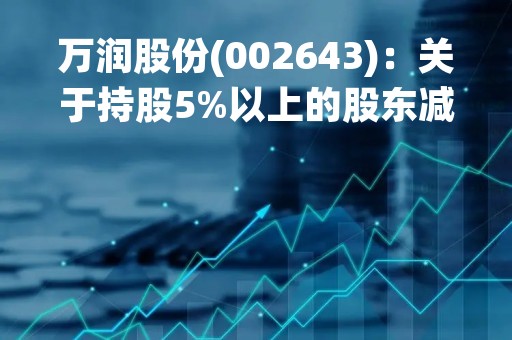 万润股份(002643)：关于持股5%以上的股东减持计划期限届满暨实施情况公告