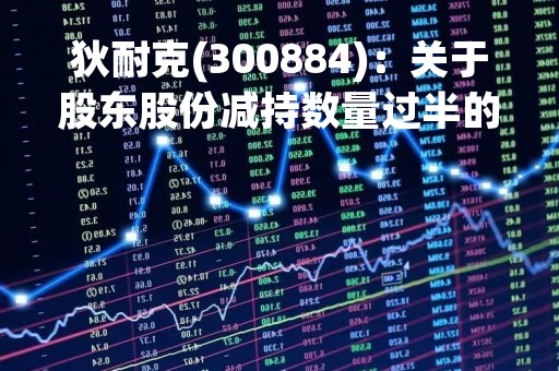 狄耐克(300884)：关于股东股份减持数量过半的进展公告