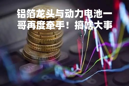 铝箔龙头与动力电池一哥再度牵手！搞啥大事？