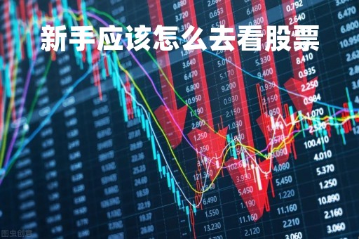 新手应该怎么去看股票「新手买股票怎么看图」